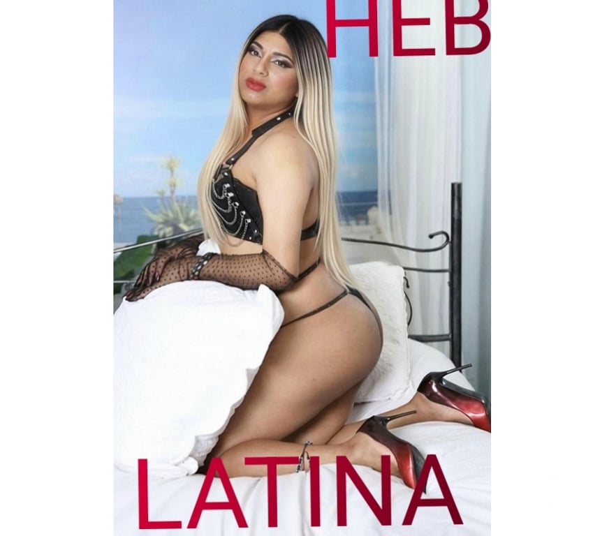 Trans Escorts Newport - Wales Newport City Centre - Newport - Photos for Amaranta trans woman who is active, passive, and dominant