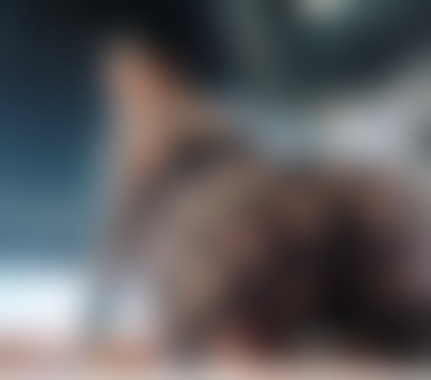 Escorts Barking and Dagenham Barking - Barking and Dagenham - Photos for 🍒 Brazilian girl NEW IN TOWN💚07585794290