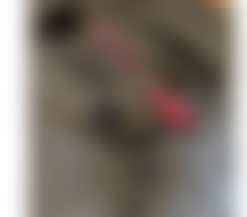 Escorts Cornwall Penzance - Cornwall - Photos for 100% English Ts (duo with female available)