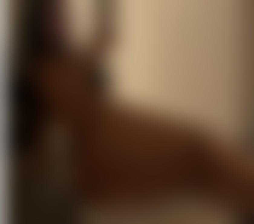 Escorts Falkirk Falkirk Town Centre - Falkirk - Photos for 🔥 Scarlett Outcall 💋