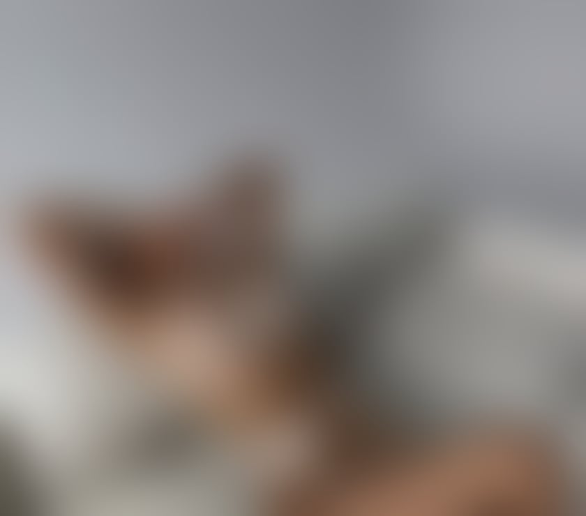 Escorts West London Hillingdon - Photos for Party girl in UK
