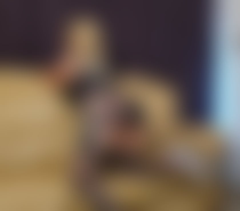 Escorts Belfast Malone - Belfast - Photos for 🍎Jessy first time on city 🍒