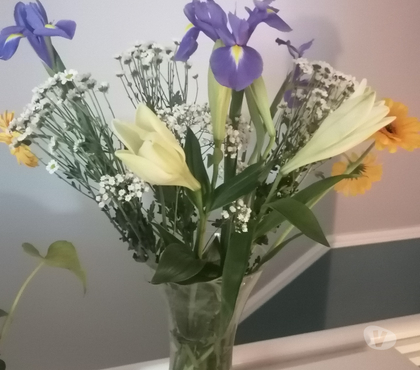 Massage - Beauty - Spa Dublin-7 Dublin - Photos for Relaxing Hot oil full body massage and body waxing grooming