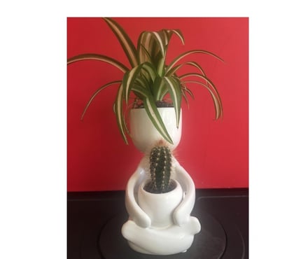 Massage - Beauty - Spa Sandyford Dublin - Photos for Mature Irish Masseuse