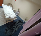 Stillorgan - Dublin — Full body@grooming available in stillorgan