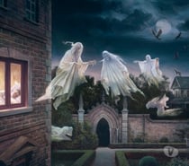 IM LOOKING A GENUINE WOMAN INTO PARANORMAL,GHOSTHUNTING