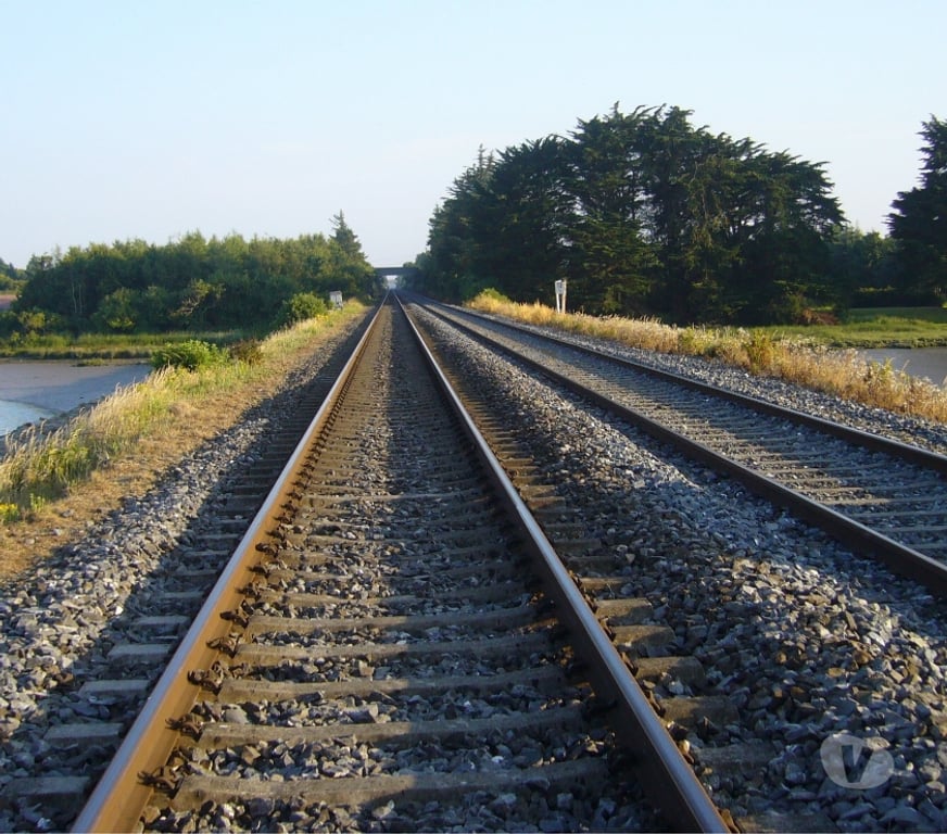 Adult Dating Dublin Balbriggan - Photos for ANY WOMEN INTO B D S M FUN