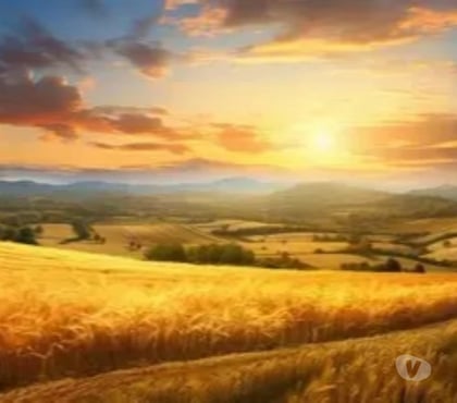 adult personals Ballyboghil Dublin - Photos for ANY WOMEN INTO OUTDOOR FUN