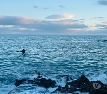 Meet up only for female