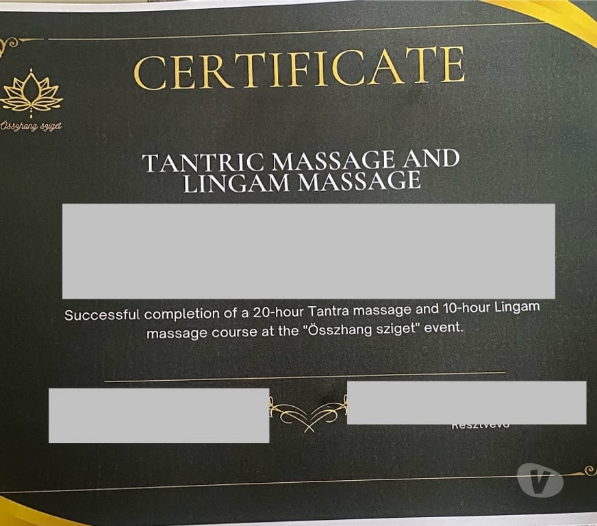 Escort Dublin (County) Dublin-9 - Photos for Professional massage in D9 Northwood till Sunday 12:00