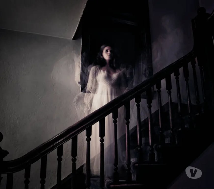 Adult Dating Dublin (County) Ballyboghil - Photos for ANY HALLOWEEN PARANORMAL GHOST HUNTING WOMEN