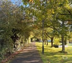 Longford - Longford (County) — Your Ultimate Escape for Relaxation & Stress Relief