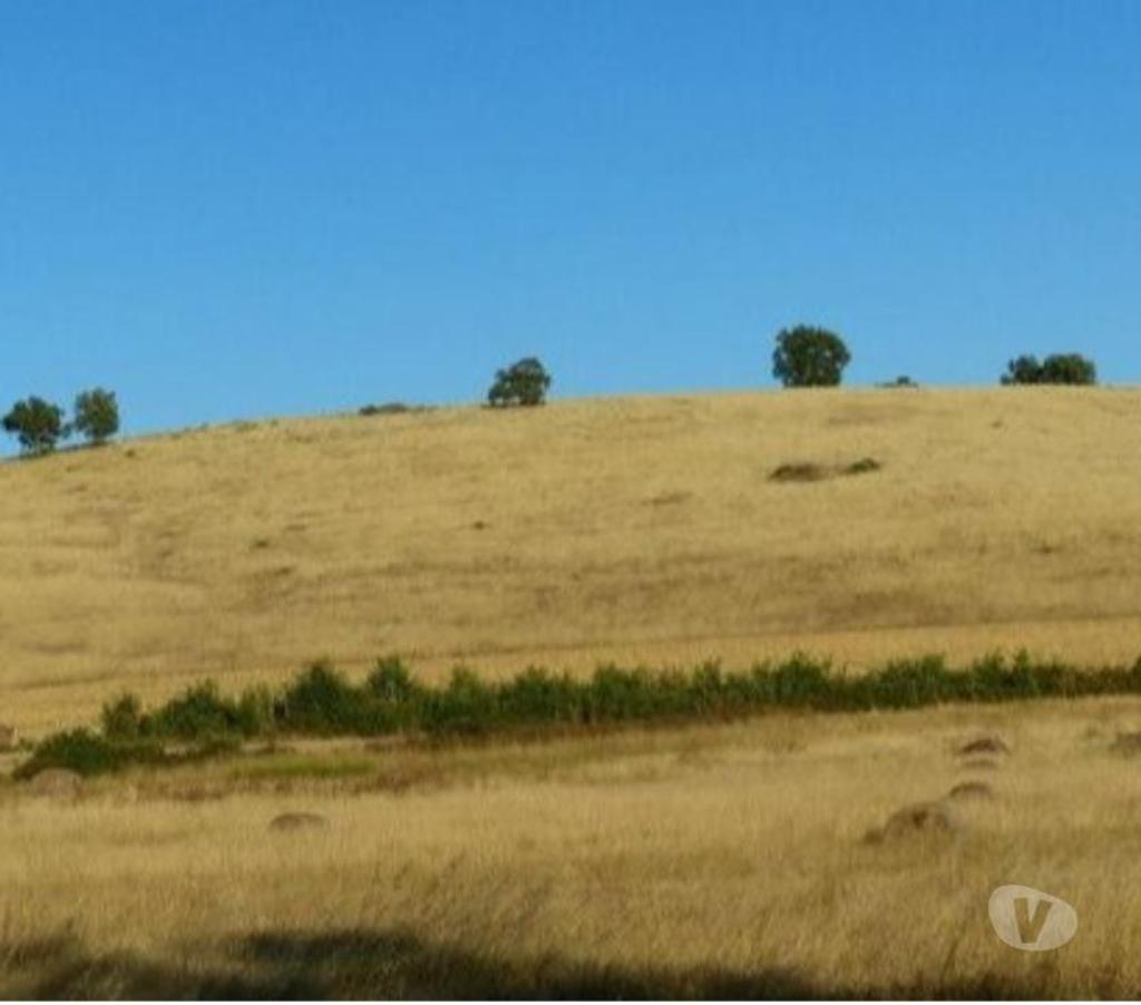Terrenos Mogadouro - Fotos para Terreno com 55 hectares em Mogadouro 