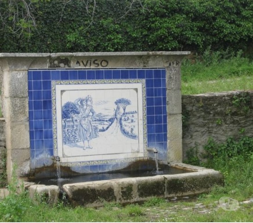 Terrenos Alfândega da Fé - Fotos para Terreno em Vale Pereiro - Alfândega da Fé