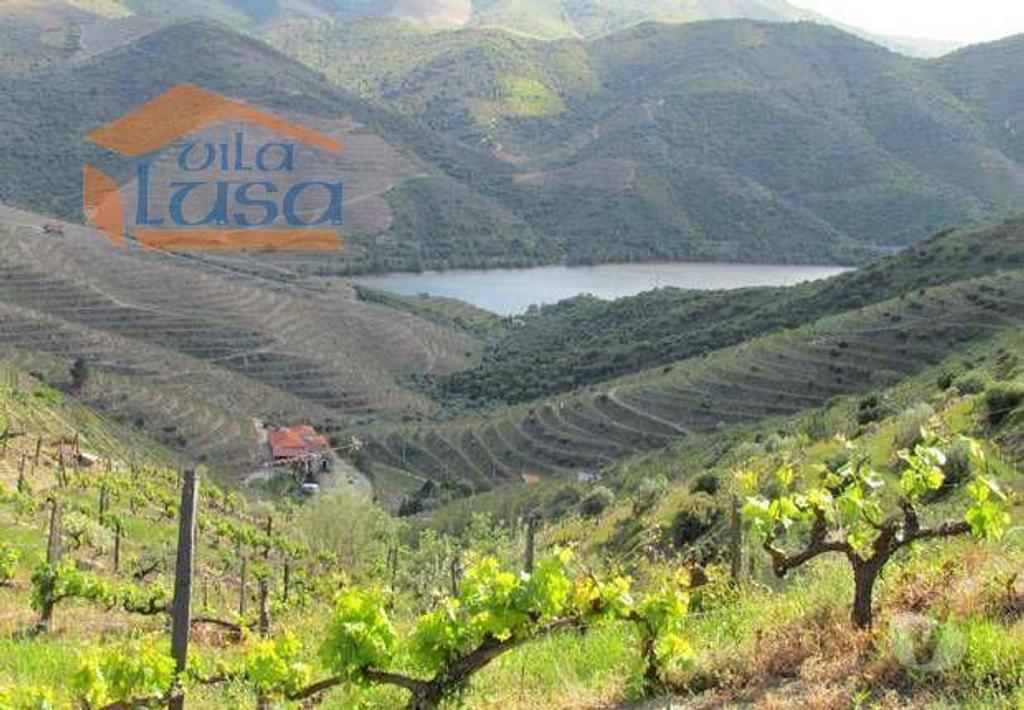 Terrenos Torre de Moncorvo - Fotos para Torre-de-moncorvo-Quinta no Douro Superior 70 ha. (803121004)