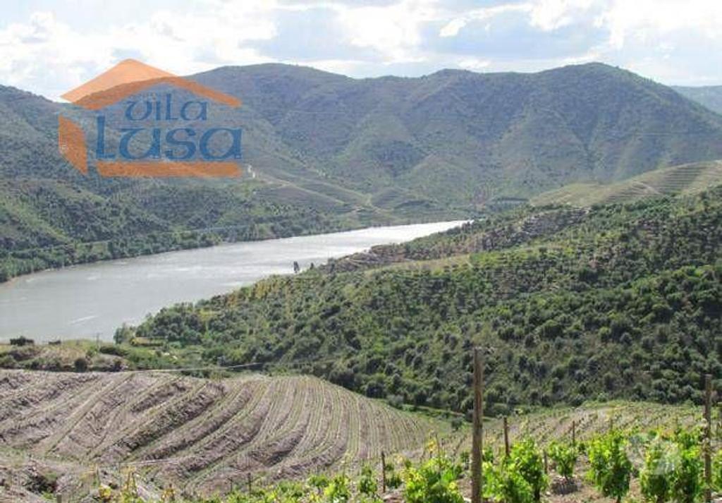 Terrenos Torre de Moncorvo - Fotos para Torre-de-moncorvo-Quinta no Douro Superior 70 ha. (803121004)