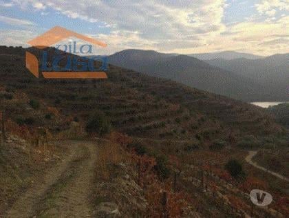 Terrenos a venda - Fotos para Torre-de-moncorvo-Quinta no Douro Superior 70 ha. (803121004)