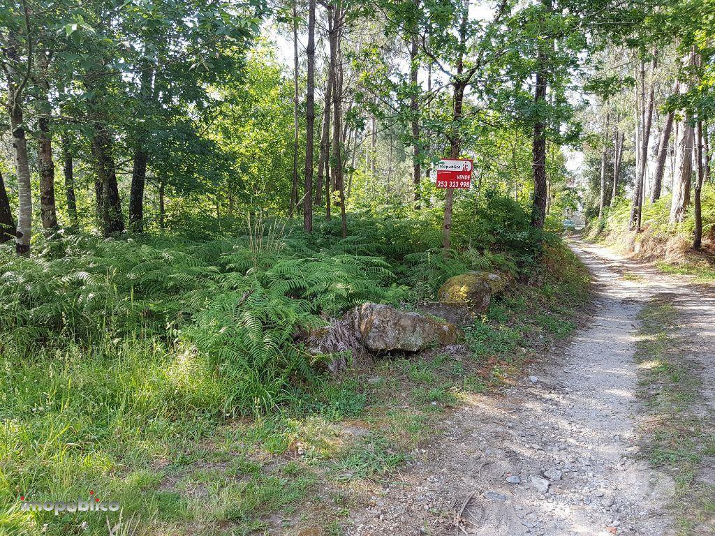 Terrenos Vila Verde - Fotos para Vila-verde-Terreno em Gême, Vila Verde (VD000541)