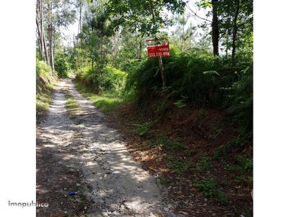 Terrenos - Fotos para Vila-verde-Terreno em Gême, Vila Verde (VD000541)