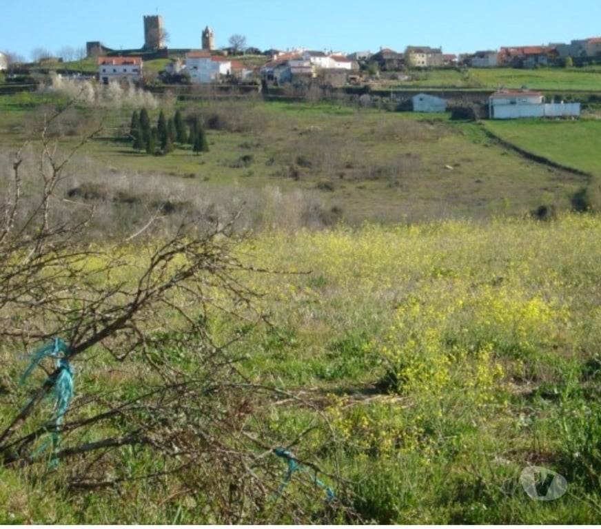 Terrenos Mogadouro - Fotos para Terreno com 7 hectares em Mogadouro 
