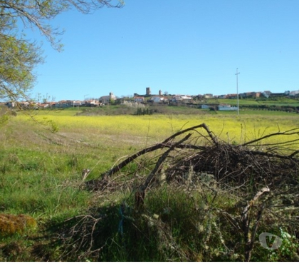 Terrenos - Fotos para Terreno com 7 hectares em Mogadouro 