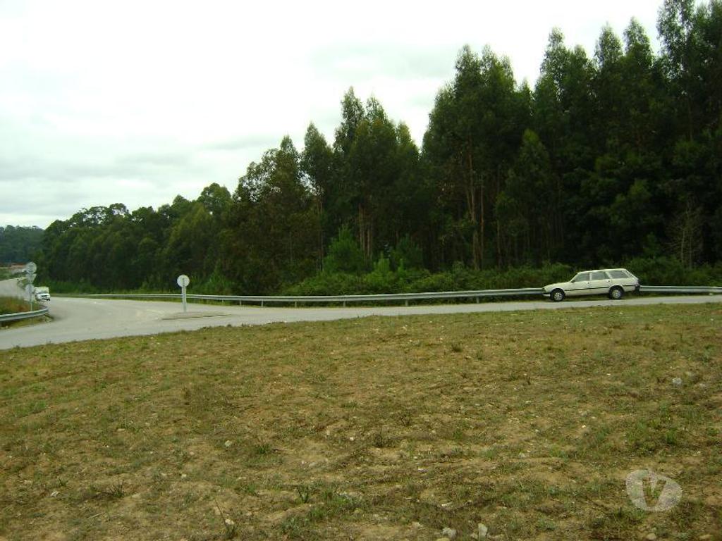 Terrenos Vila Nova de Gaia - Fotos para Vila-nova-de-gaia-TERRENO PEROSINHO (TVNG2)