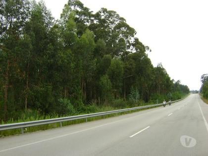 Terrenos - Fotos para Vila-nova-de-gaia-TERRENO PEROSINHO (TVNG2)