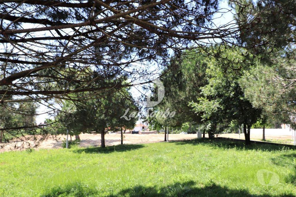 Terrenos Espinho - Fotos para Espinho-Lote em Espinho em Urbanização de Moradias (259-T-00044)