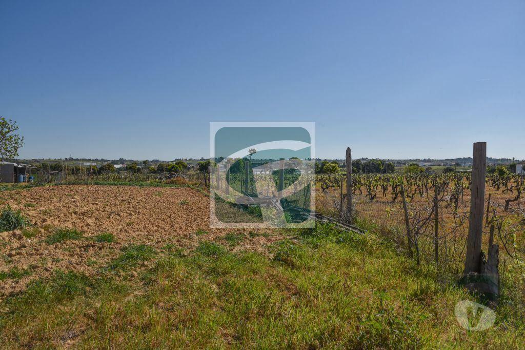 Terrenos Azambuja - Fotos para Azambuja-Lote de Terreno para construção de moradia (TR040)