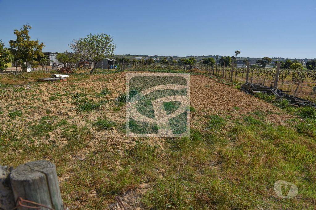 Terrenos Azambuja - Fotos para Azambuja-Lote de Terreno para construção de moradia (TR040)