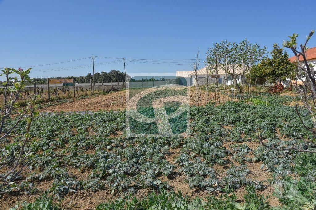 Terrenos Azambuja - Fotos para Azambuja-Lote de Terreno para construção de moradia (TR040)