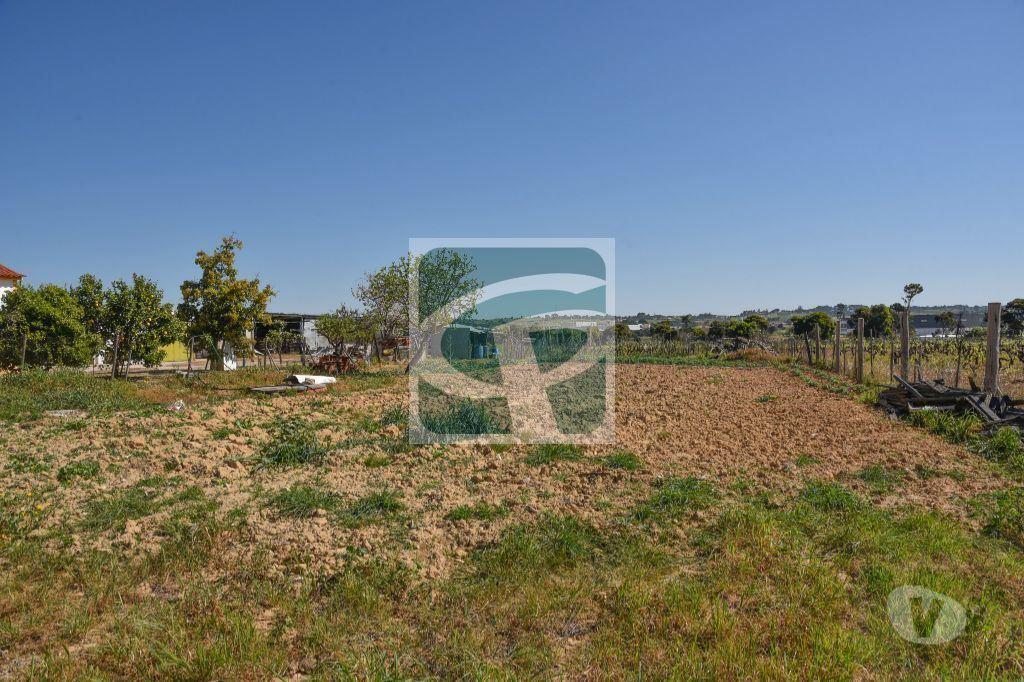 Terrenos Azambuja - Fotos para Azambuja-Lote de Terreno para construção de moradia (TR040)