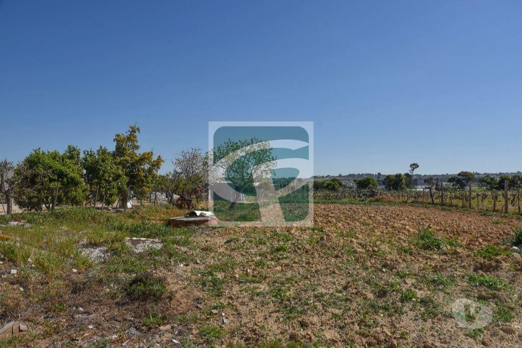 Terrenos Azambuja - Fotos para Azambuja-Lote de Terreno para construção de moradia (TR040)