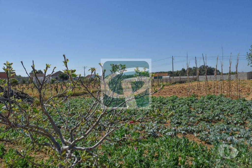 Terrenos Azambuja - Fotos para Azambuja-Lote de Terreno para construção de moradia (TR040)
