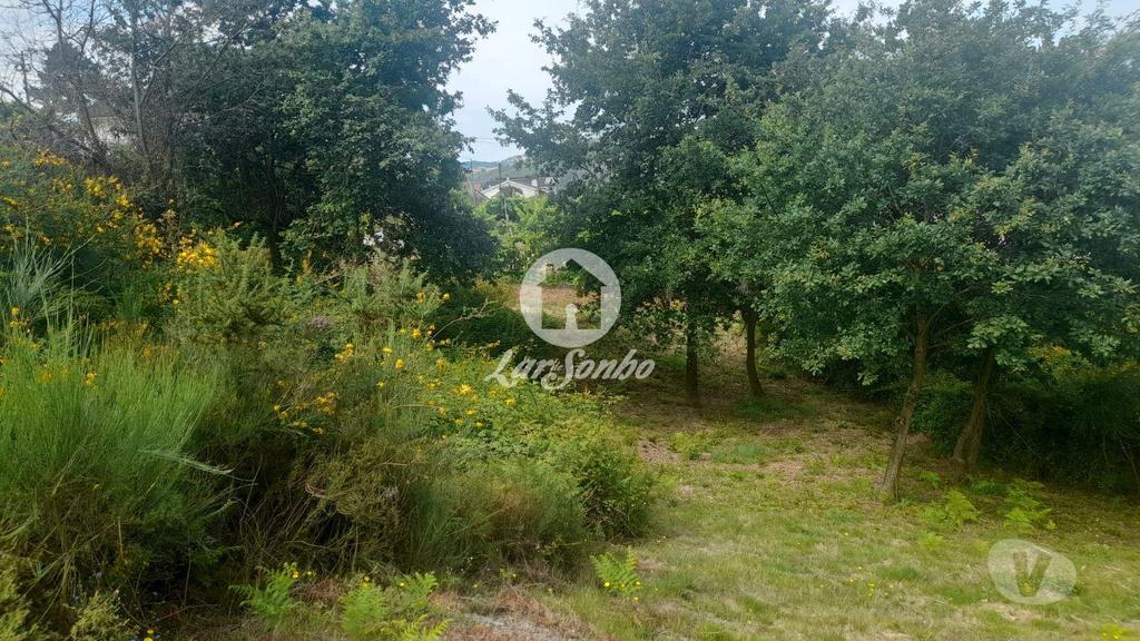 Terrenos Amarante - Fotos para Amarante-VENDE-SE TERRENO URBANO TELÕES, AMARANTE (243-T-00610)