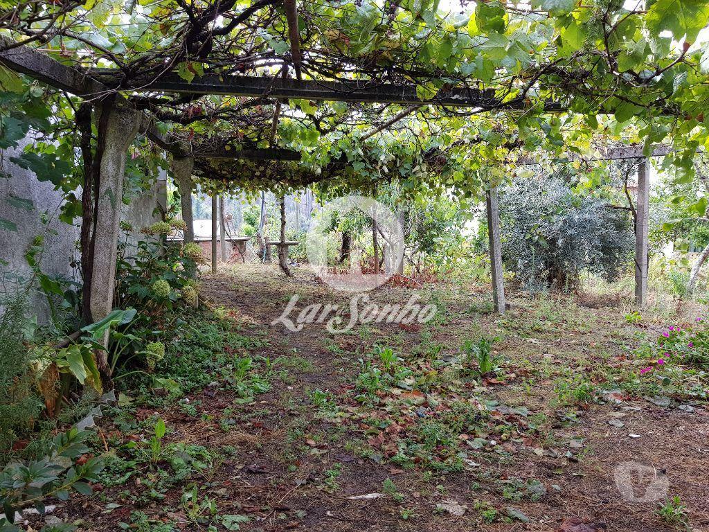 Terrenos Vila Nova de Poiares - Fotos para Vila-nova-de-poiares-Terreno (244-T-00209)