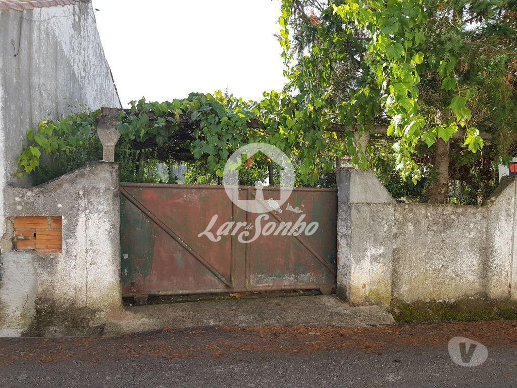 Terrenos Vila Nova de Poiares - Fotos para Vila-nova-de-poiares-Terreno (244-T-00209)