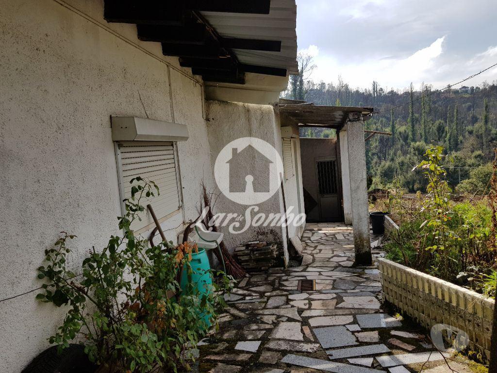 Terrenos Vila Nova de Poiares - Fotos para Vila-nova-de-poiares-Terreno (244-T-00209)