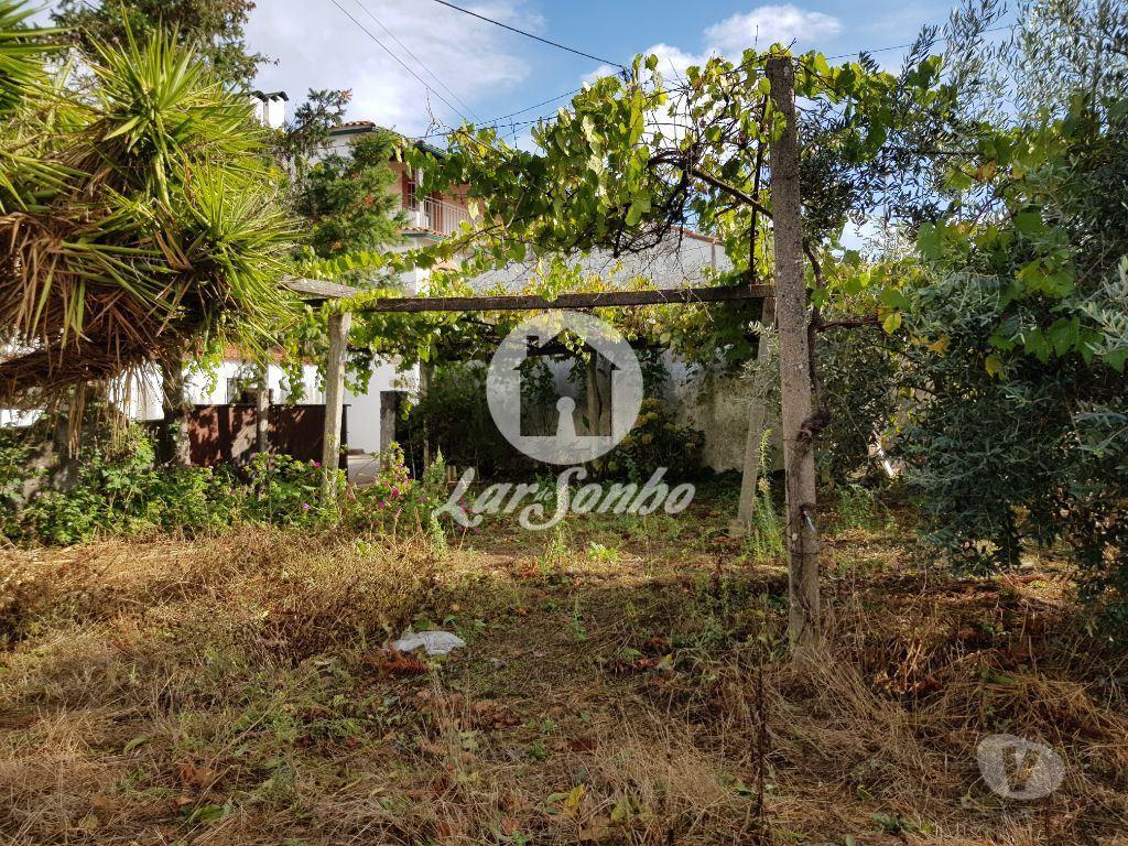Terrenos Vila Nova de Poiares - Fotos para Vila-nova-de-poiares-Terreno (244-T-00209)