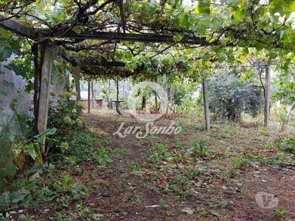 Terrenos - Fotos para Vila-nova-de-poiares-Terreno (244-T-00209)