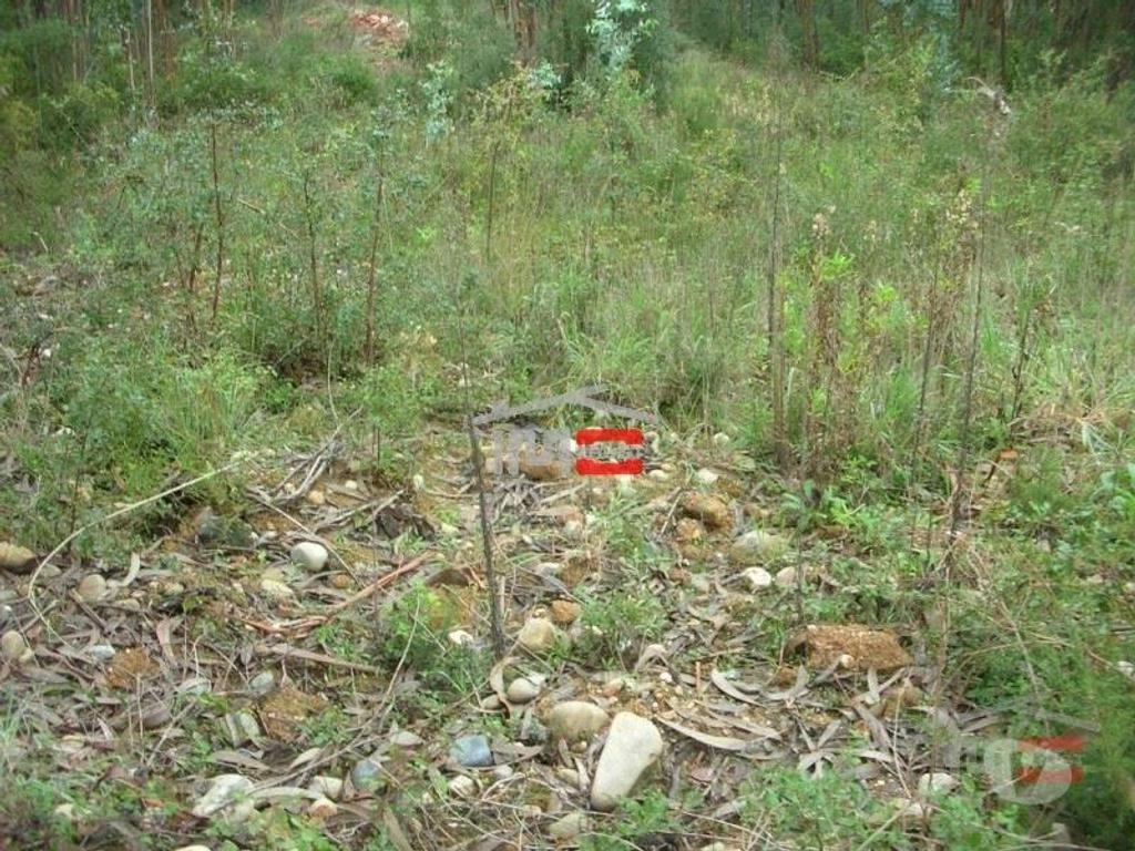 Terrenos Ourém - Fotos para Ourem-Lote de Terreno 1224m2 (1-T-1715034)