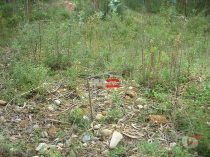 Terrenos e quintas a venda - Fotos para Ourem-Lote de Terreno 1224m2 (1-T-1715034)