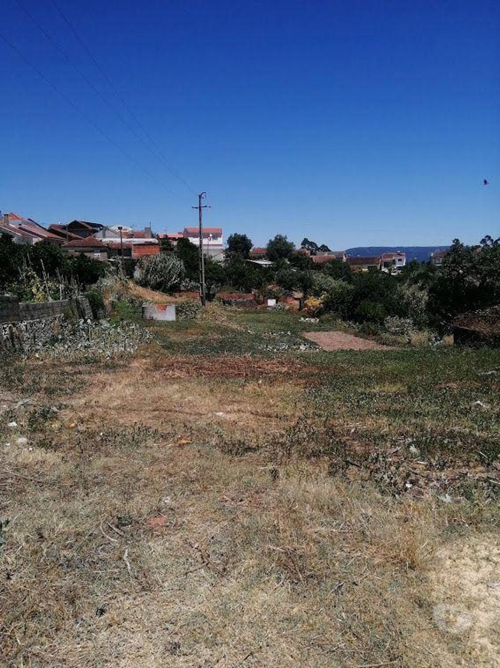 Terrenos Mealhada - Fotos para Terreno rústico, novo, para venda, Mealhada - Casal Comba