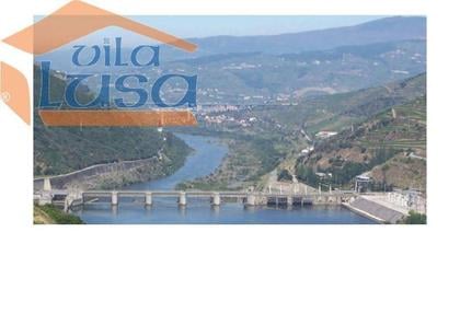 Terrenos e Quintas - Fotos para Armamar-Quinta no Douro Margem Esquerda (803121007)