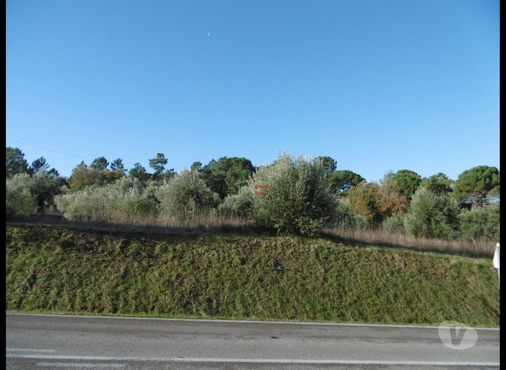 Terrenos Ourém - Fotos para Ourem-Terreno (1-T-15718051)