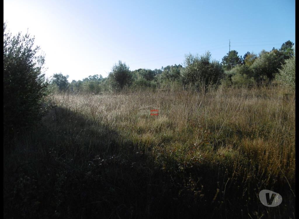 Terrenos Ourém - Fotos para Ourem-Terreno (1-T-15718051)