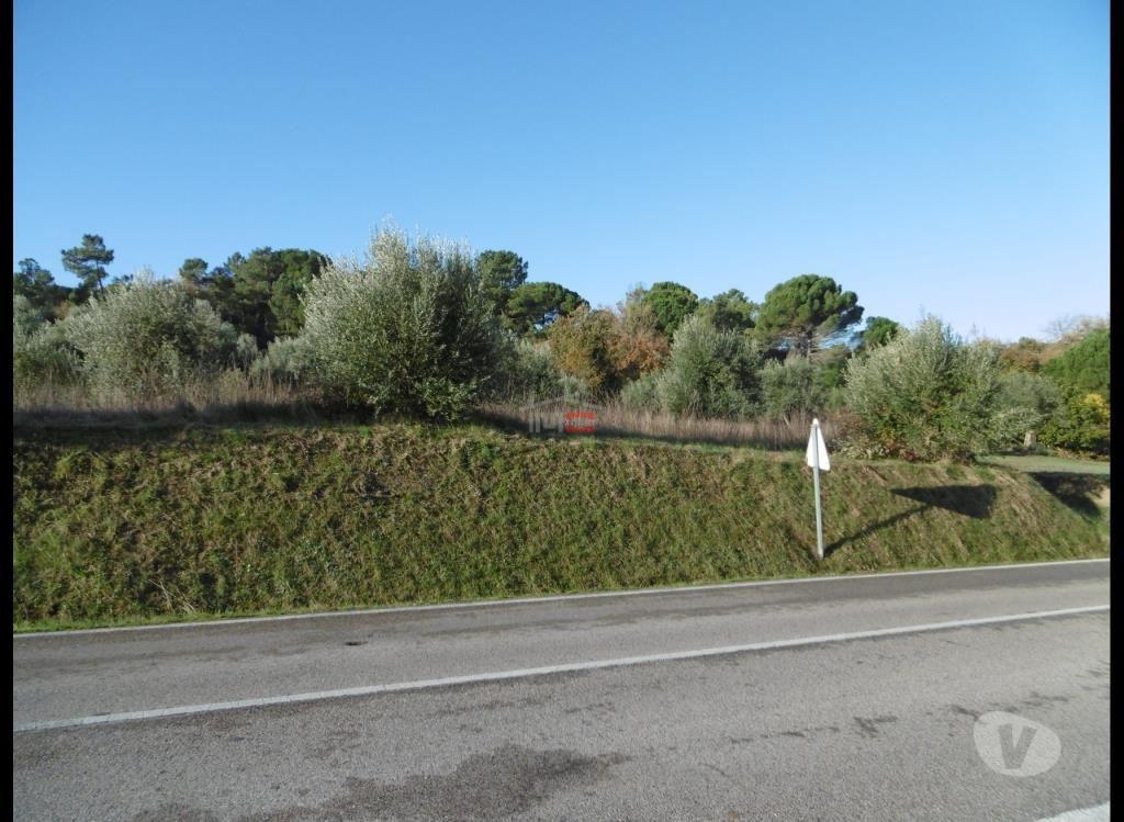 Terrenos Ourém - Fotos para Ourem-Terreno (1-T-15718051)