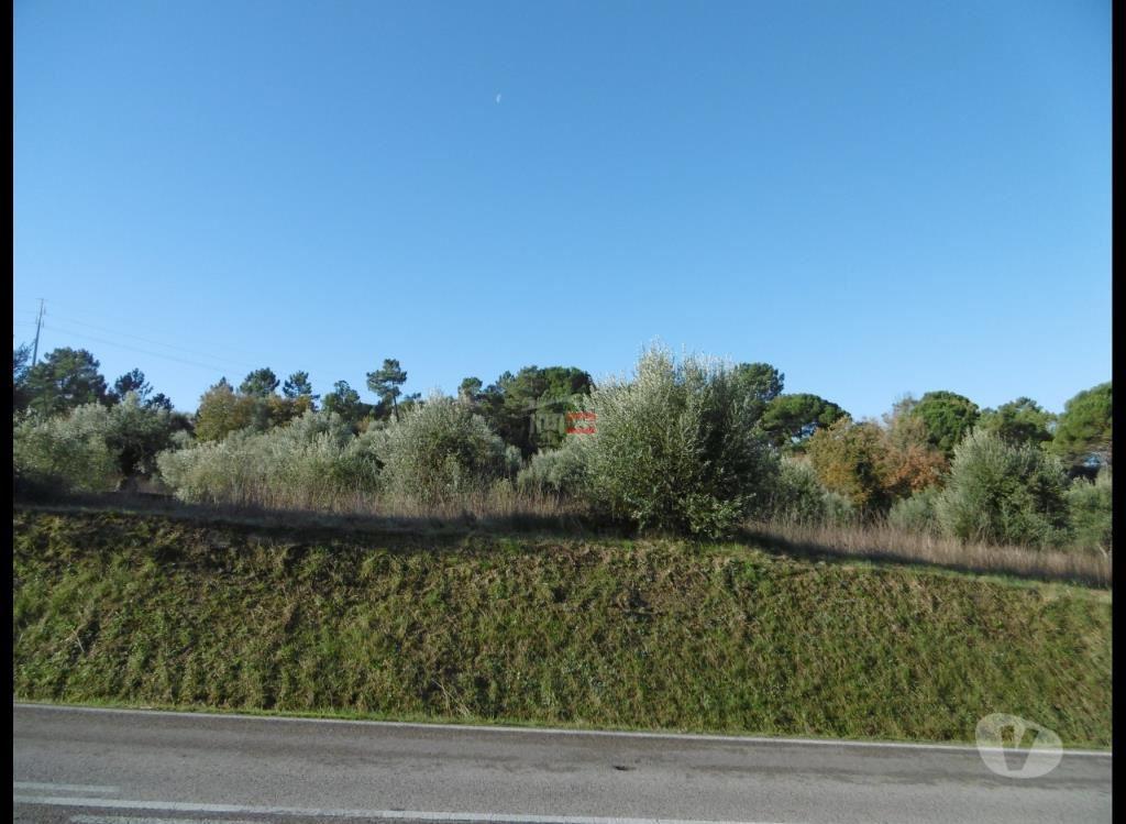 Terrenos Ourém - Fotos para Ourem-Terreno (1-T-15718051)