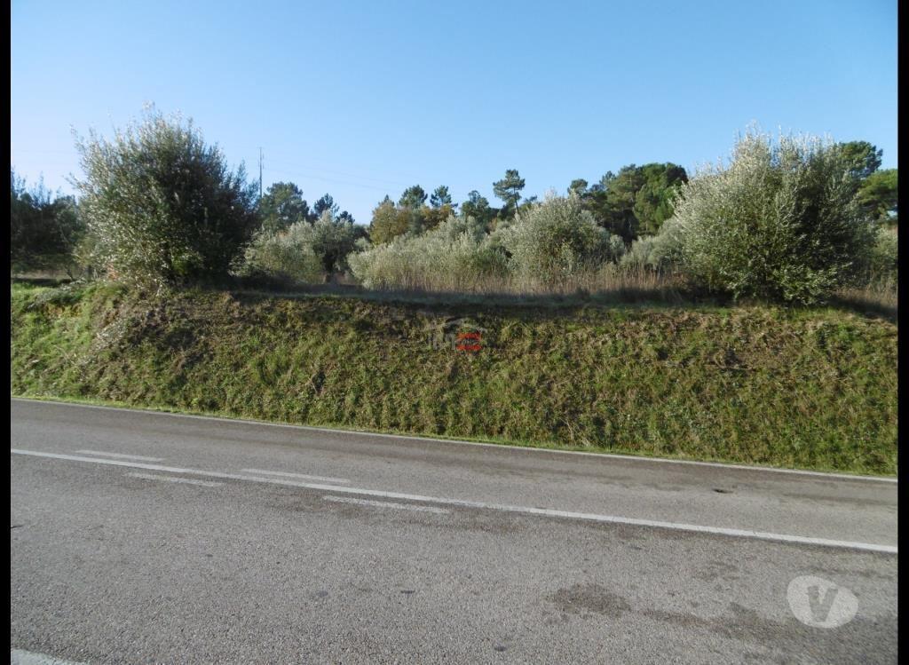 Terrenos Ourém - Fotos para Ourem-Terreno (1-T-15718051)
