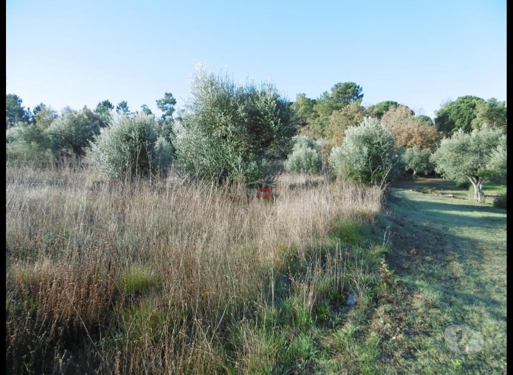 Terrenos Ourém - Fotos para Ourem-Terreno (1-T-15718051)